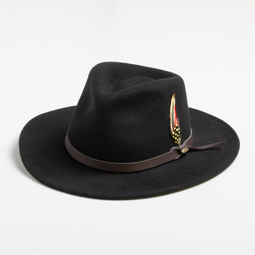 Black fedora hat with a brown band and feather on a white background