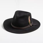 Black fedora hat with a brown band and feather on a white background