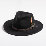 Black fedora hat with a brown band and feather on a white background