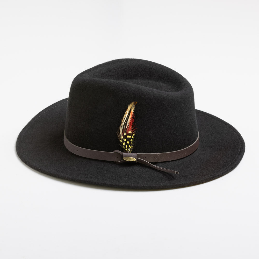 Black fedora hat with a feather on a white background
