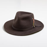 Chocolate colored fedora hat with a feather and brown band on a white background