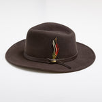 Chocolate colored fedora hat with a feather on a white background