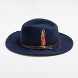 Navy blue fedora hat with a feather and brown band on a white background