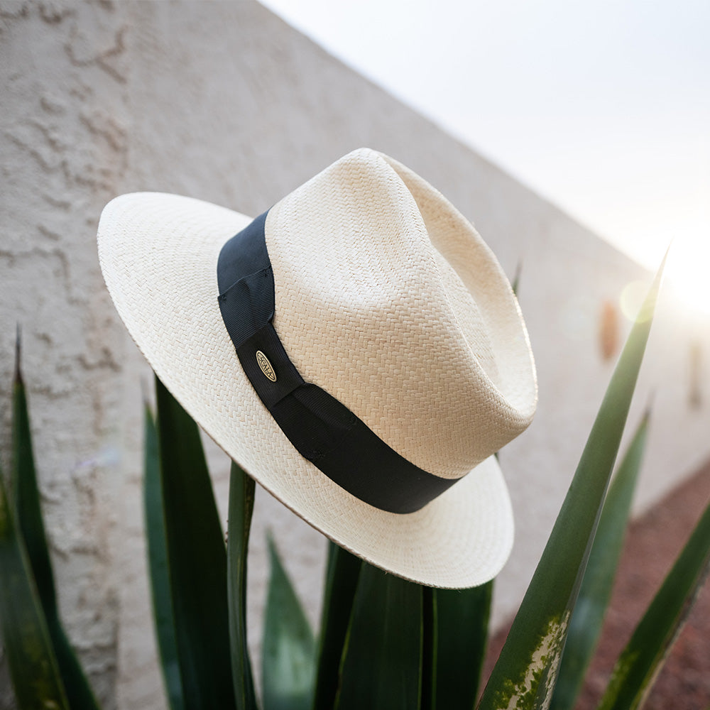 Panama Hat Tenth Avenue Hats Scala Panama Fedora- Austyn – Tenth