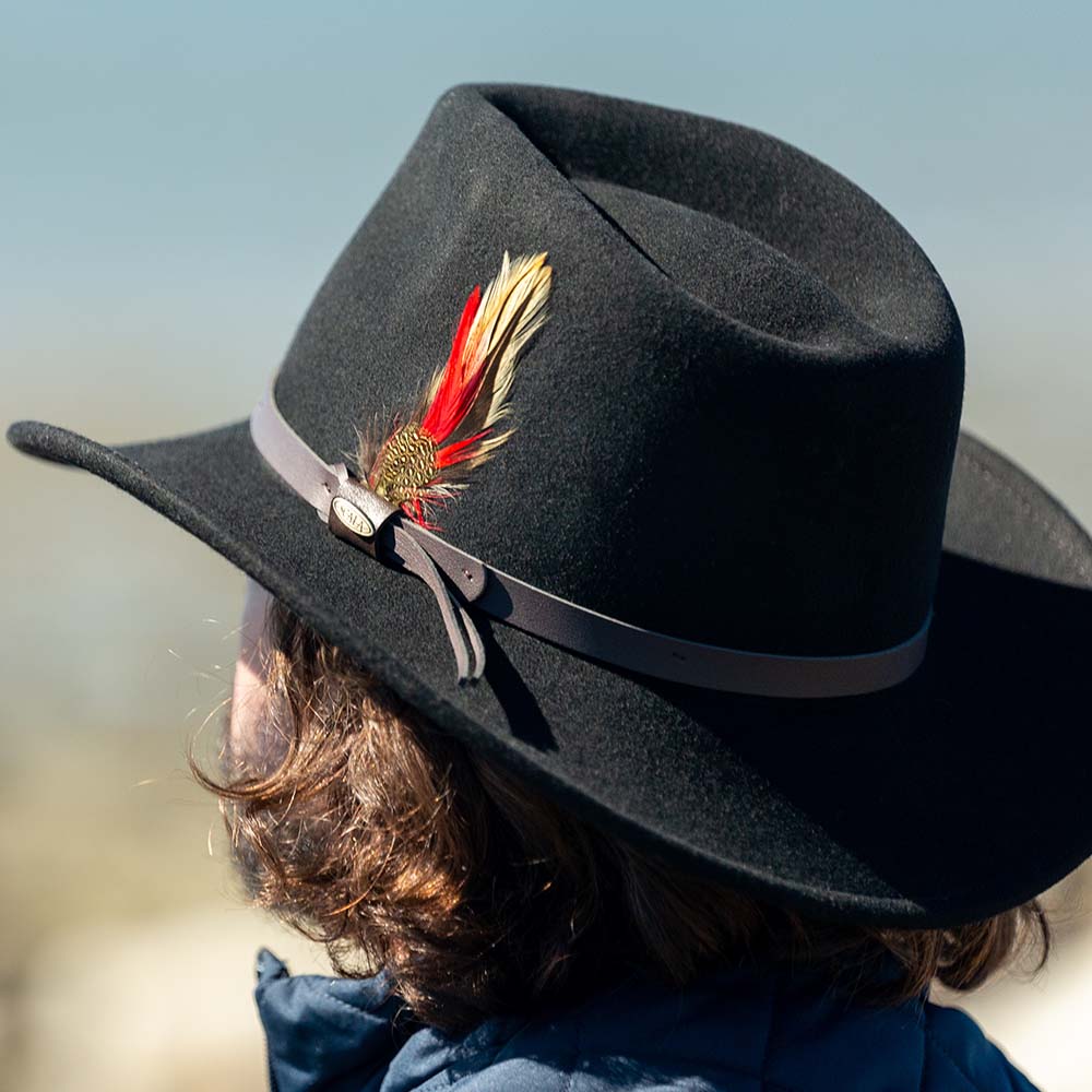 Black fedora hat with a feather and light brown band on a blurred background looking away and upwards